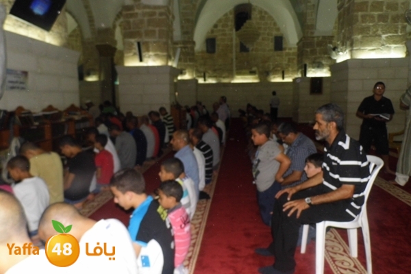 kaber trawe7 718 (13).JPG